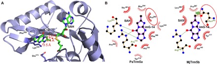 Fig. 7