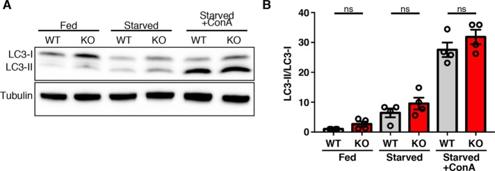 FIGURE 6: