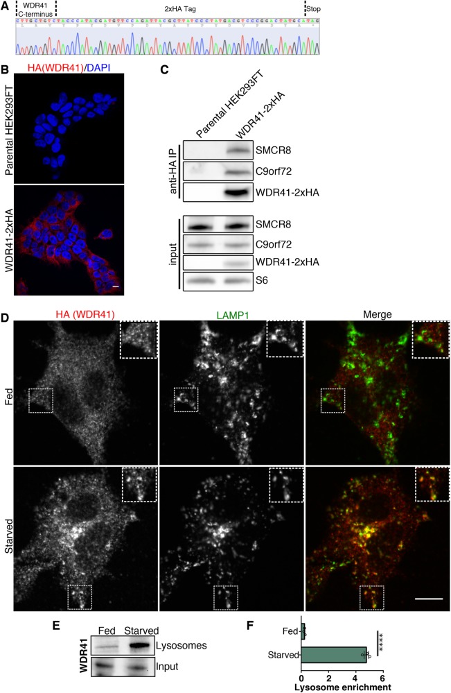 FIGURE 4: