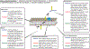Fig. 1 -