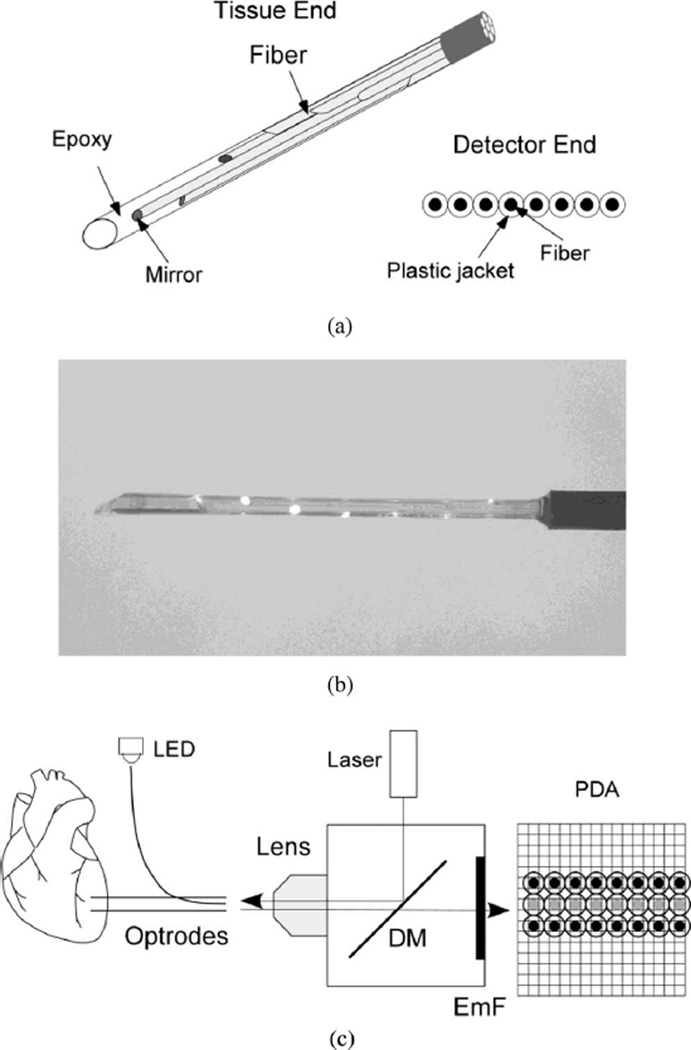 Fig. 1