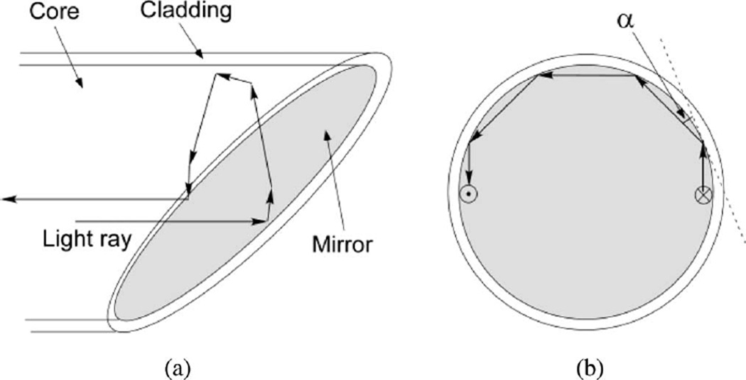 Fig. 5