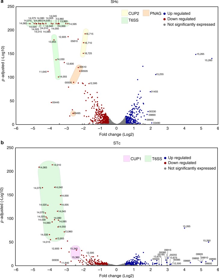 Fig. 7