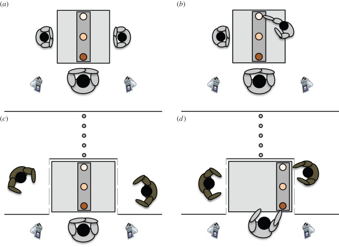 Figure 1.