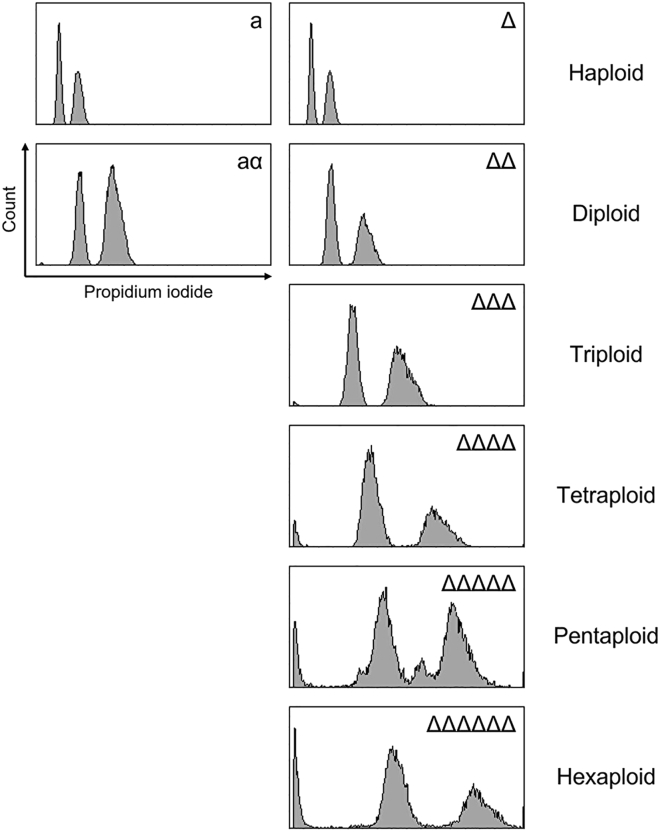 Figure 3