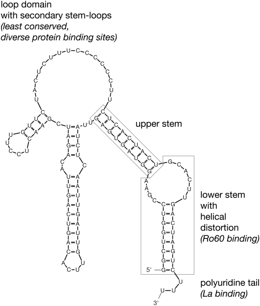 FIGURE 1.