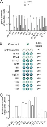 FIGURE 4.