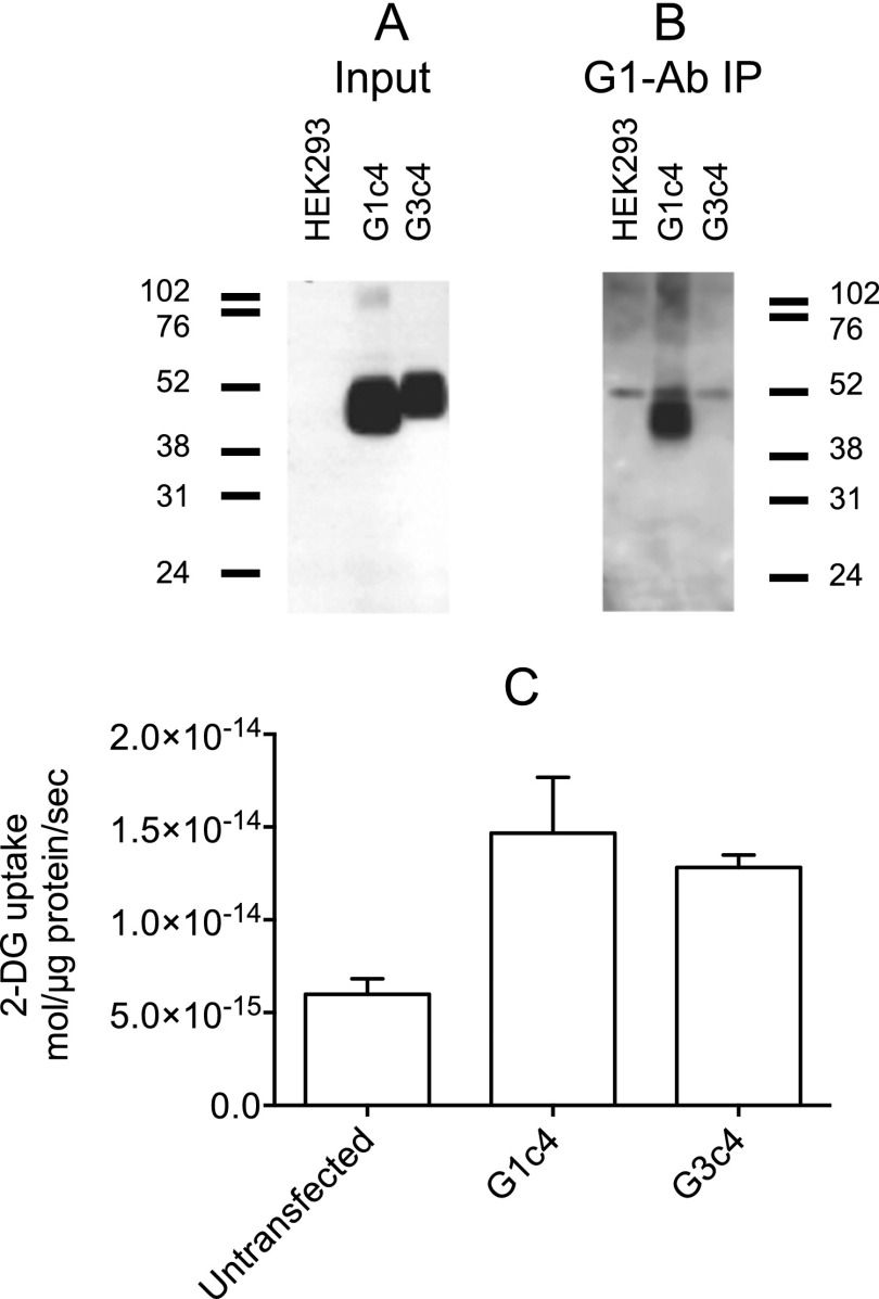 FIGURE 2.