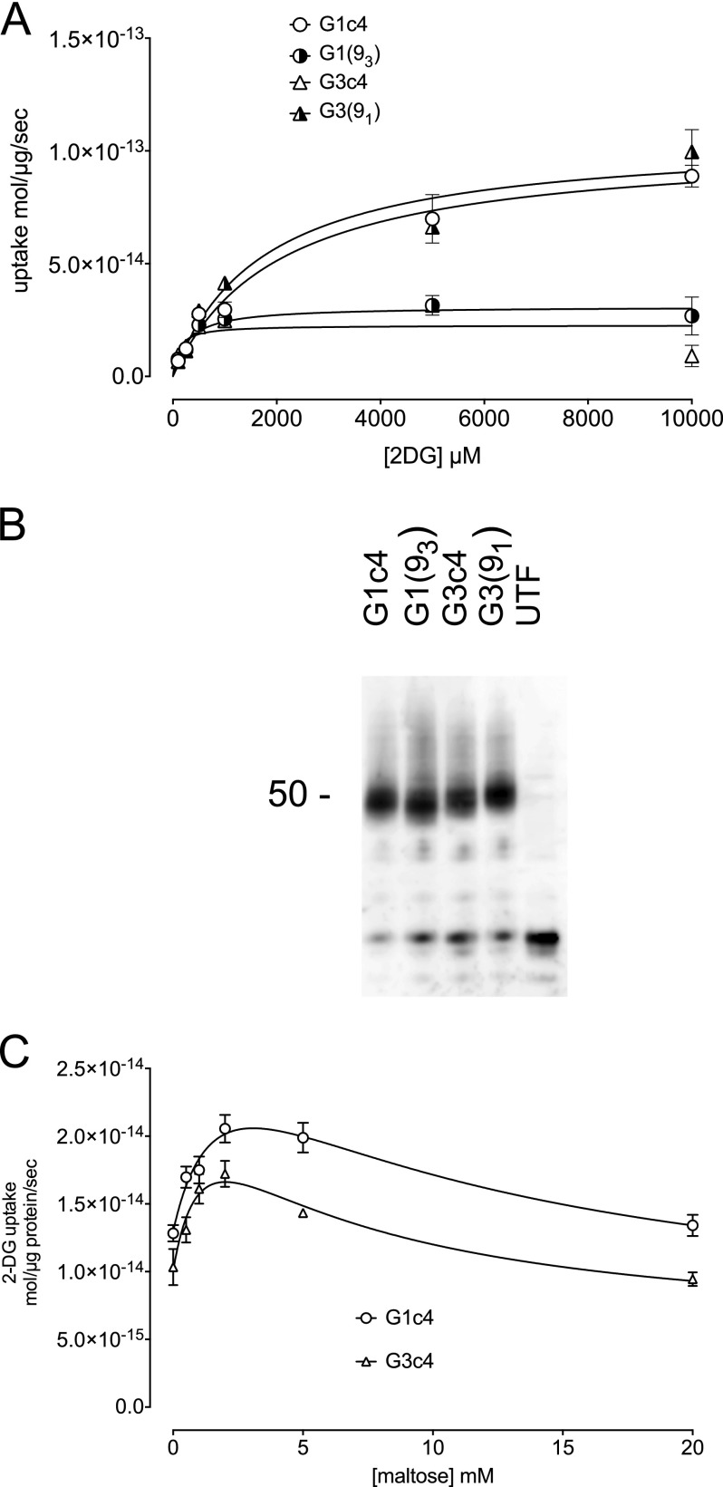 FIGURE 7.