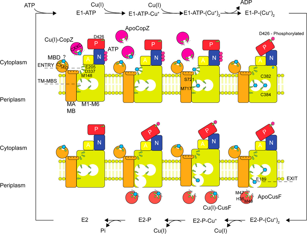 Figure 7