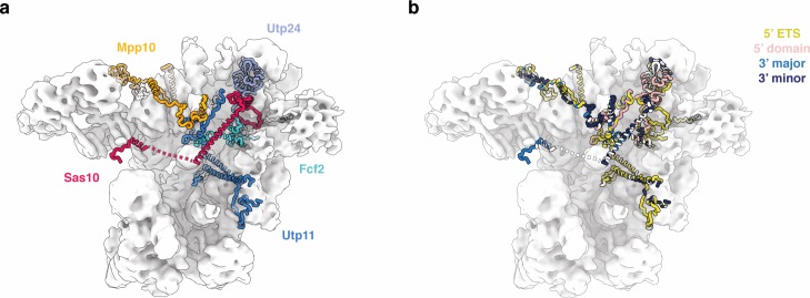 Figure 3—figure supplement 1.