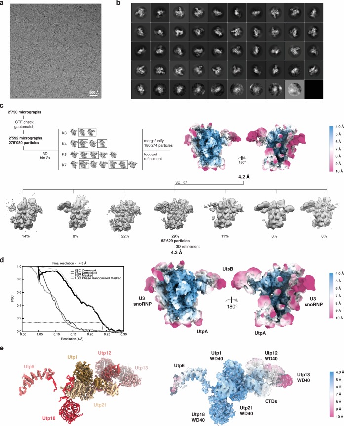 Figure 1—figure supplement 3.