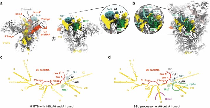 Figure 4.