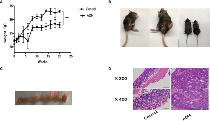 Figure 3