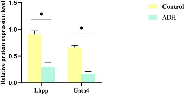 Figure 9