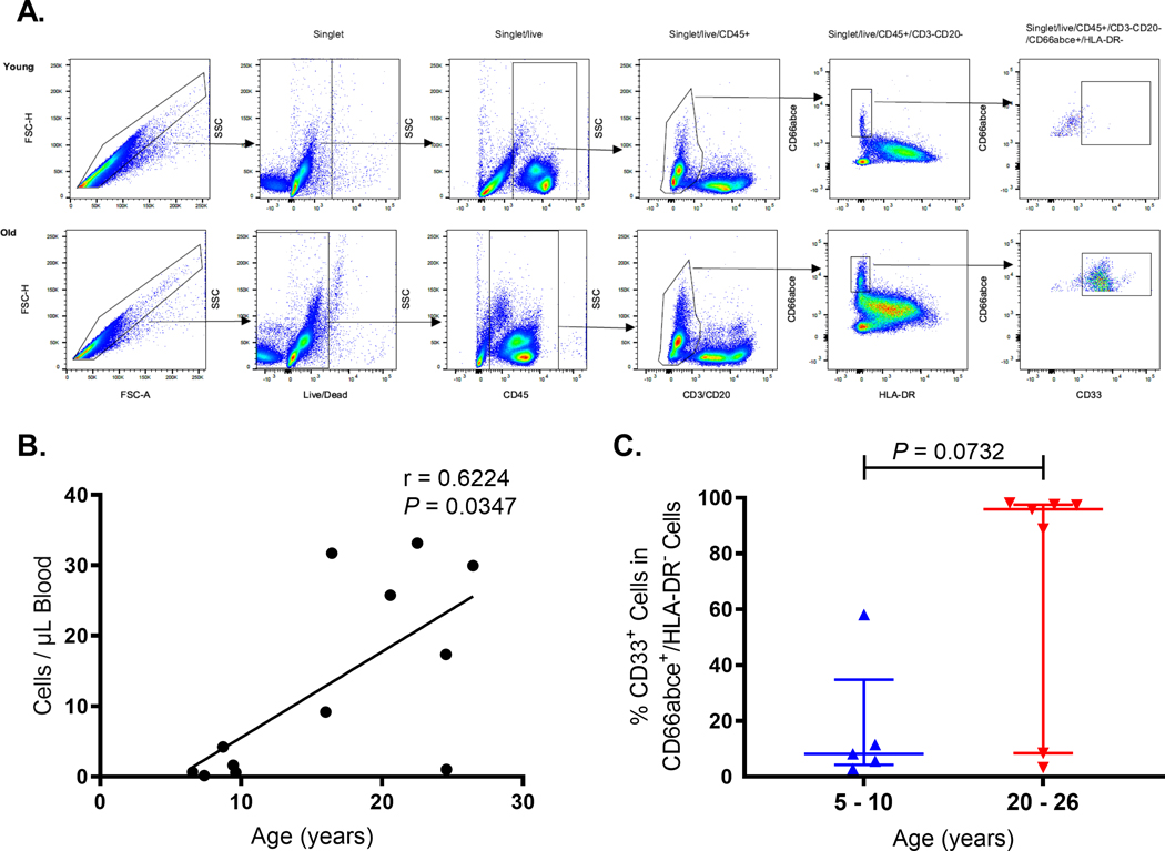 FIGURE 6.