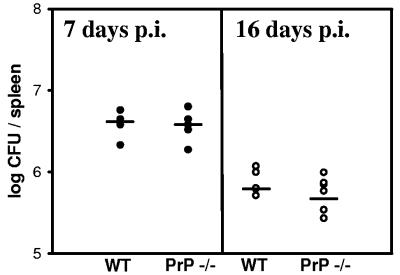 FIG. 5.