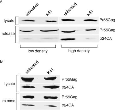 FIG. 9.