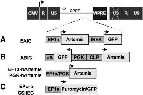 FIG. 1.