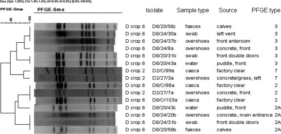 FIG. 2.