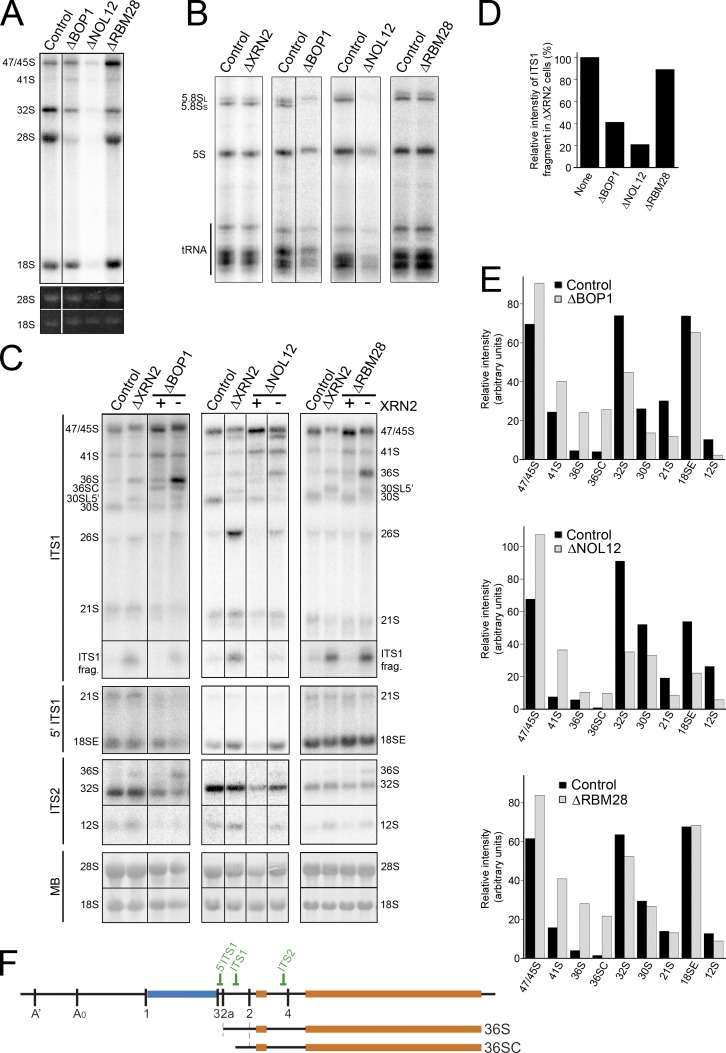 Figure 5.