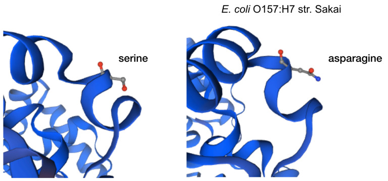 Figure 2B. 