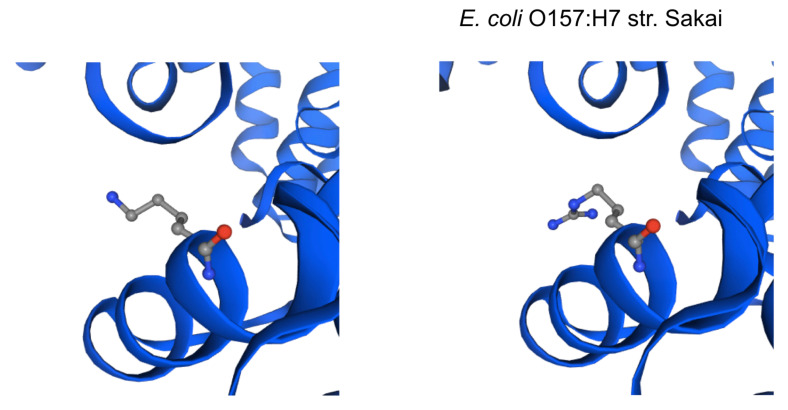 Figure 2A. 