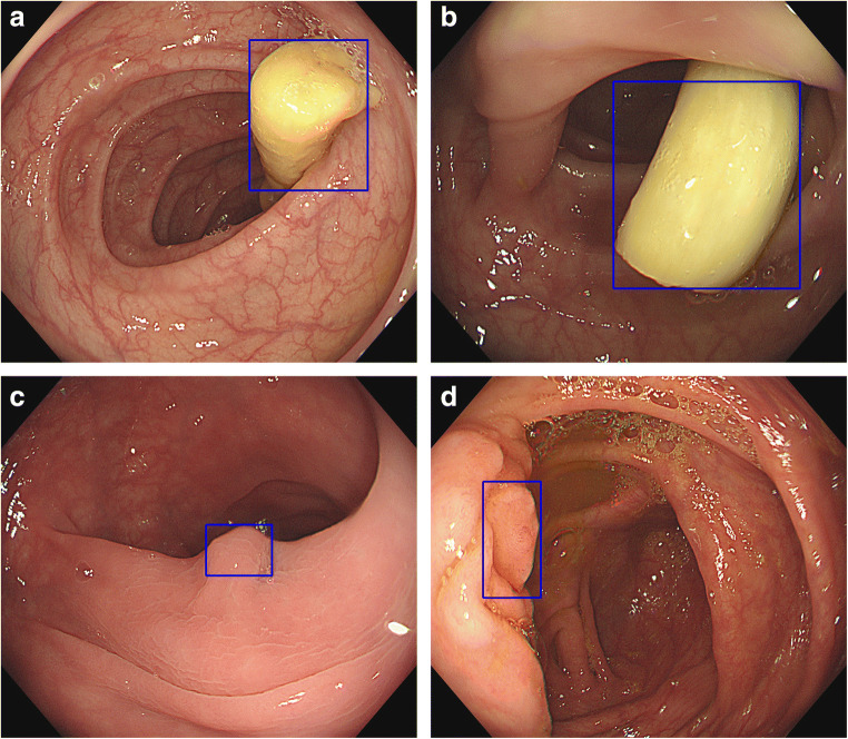 Fig. 5