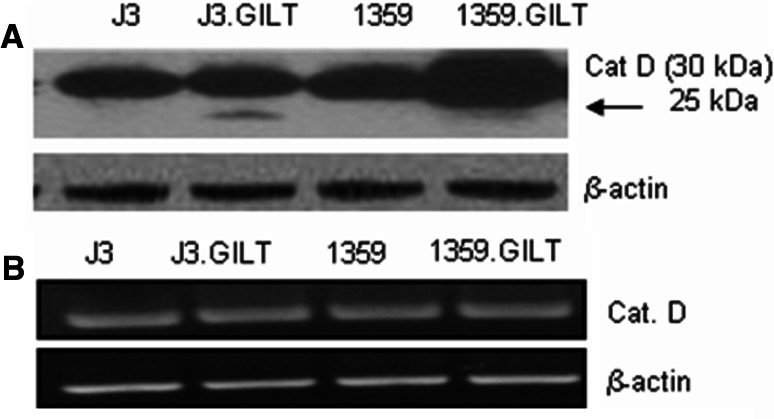 Fig. 4