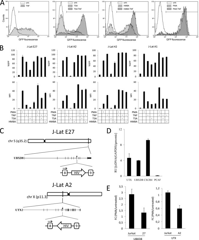 FIG. 1.