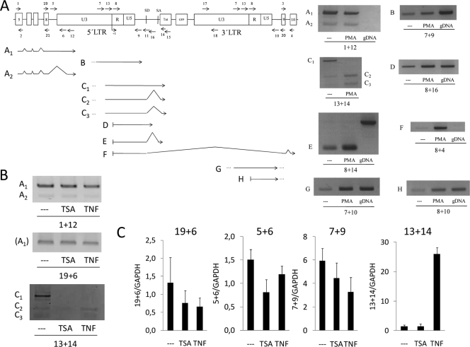 FIG. 2.