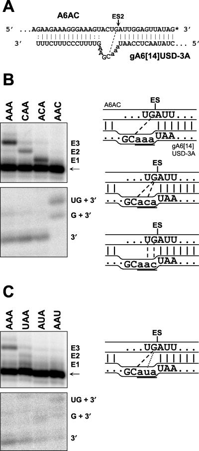 FIG. 4.