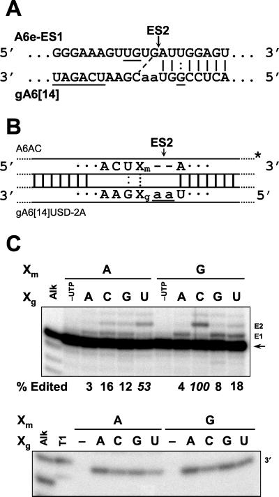 FIG. 7.