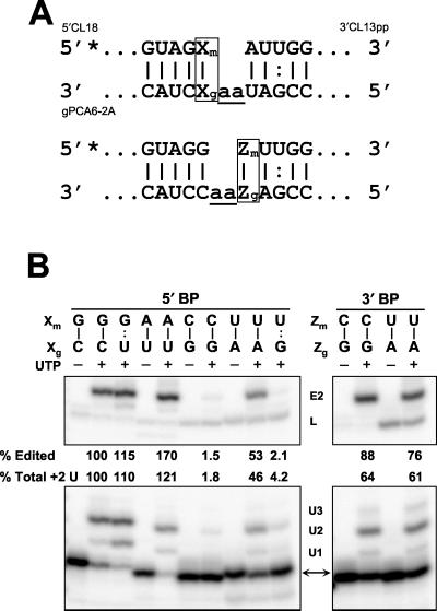 FIG. 5.