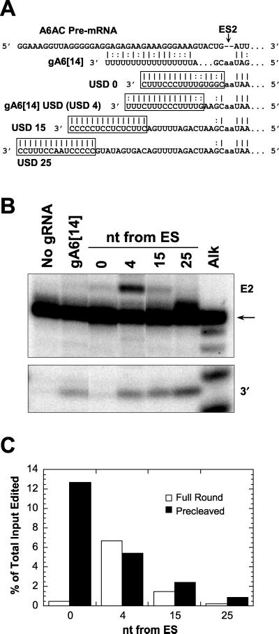 FIG. 9.