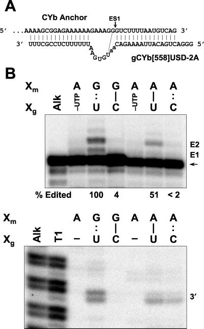 FIG. 8.