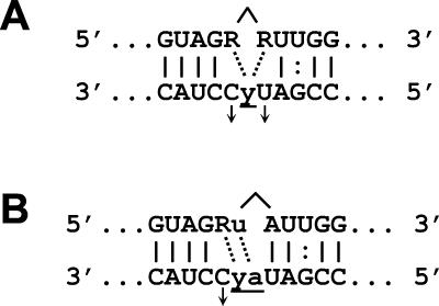 FIG. 10.