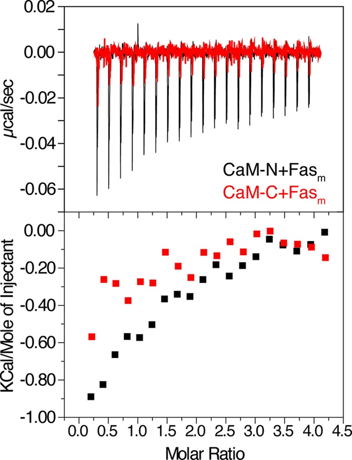 FIGURE 7.