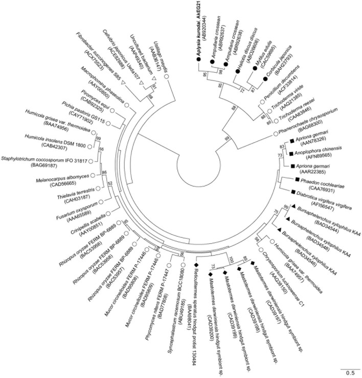 Figure 7