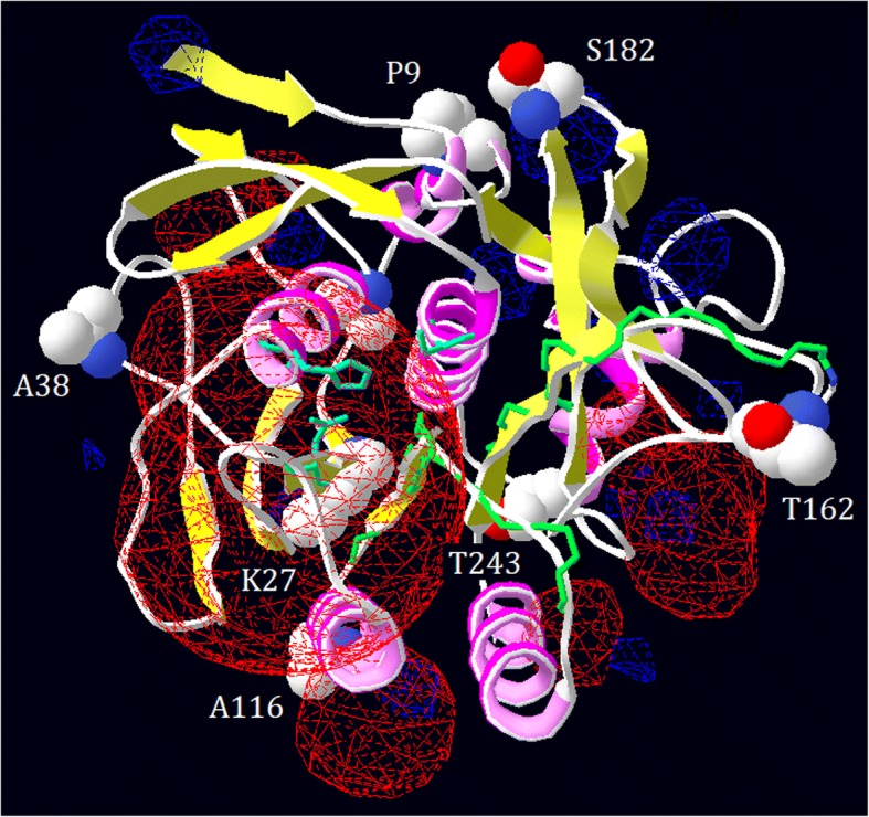 Fig. 6