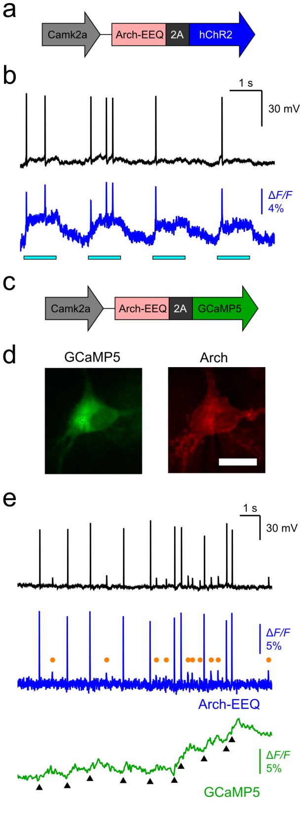 Figure 5