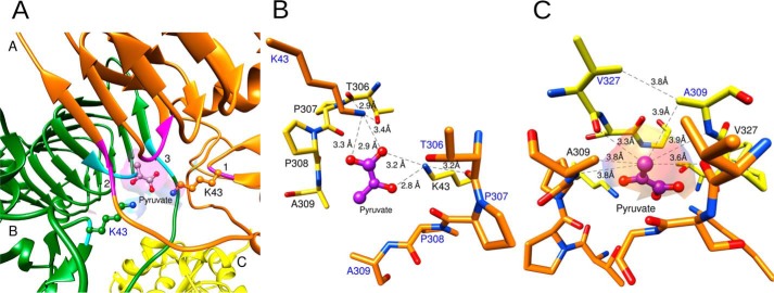 Figure 3.