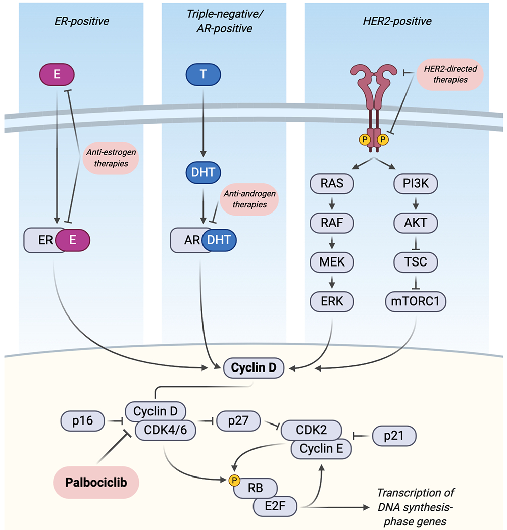 Figure 1: