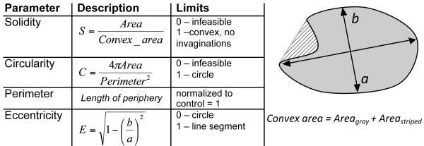 graphic file with name nucl-2-570-t2.jpg