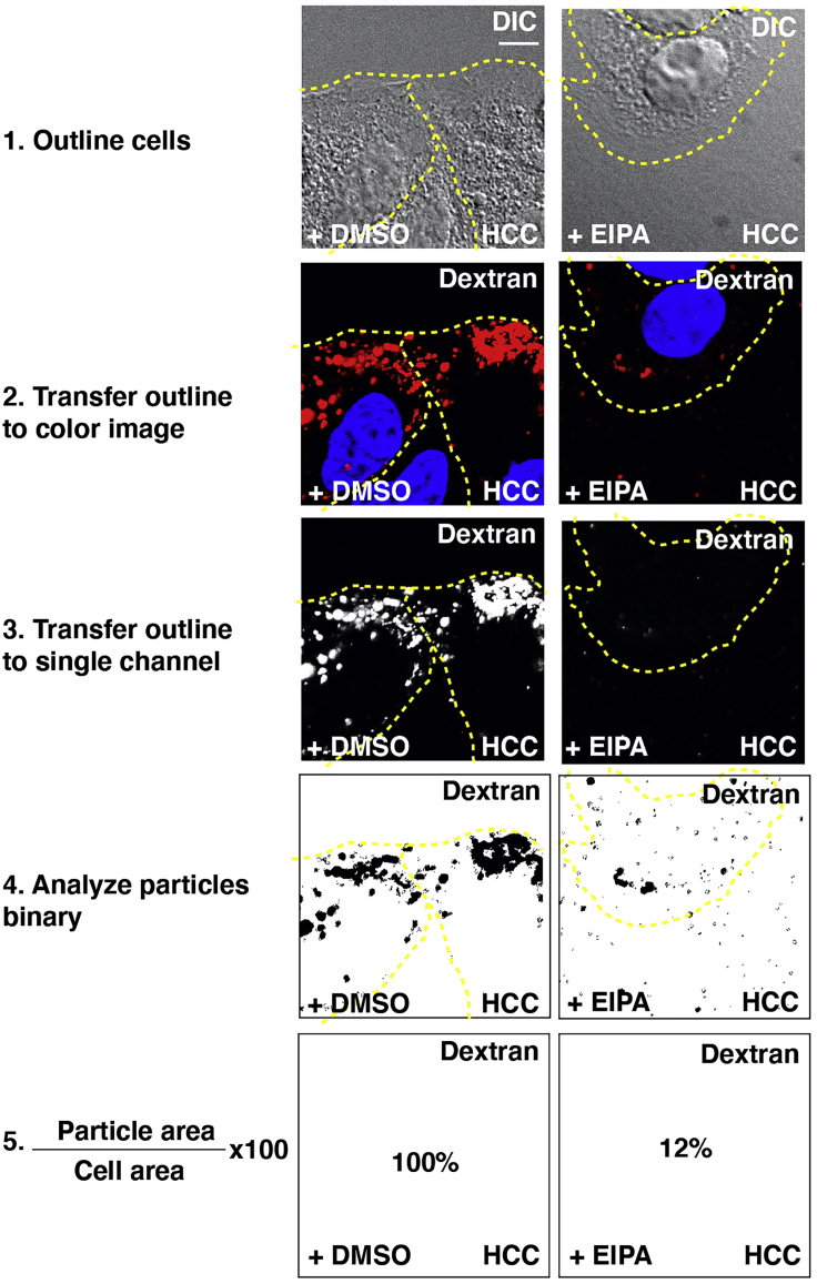 Figure 4