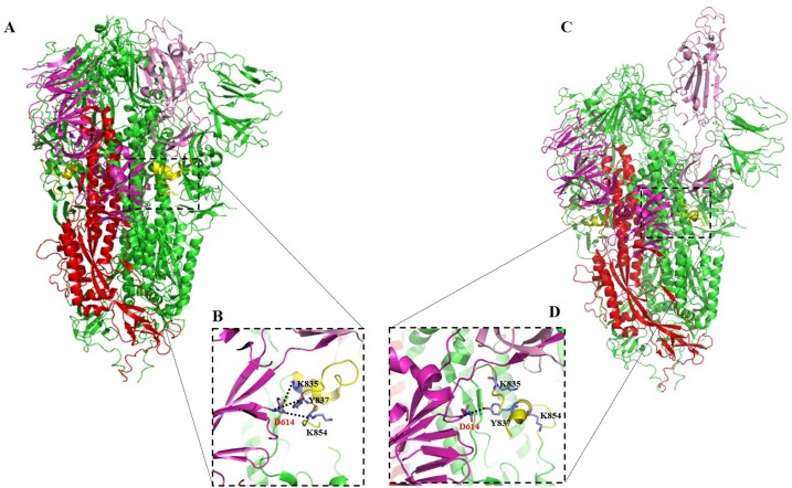 Fig. 1