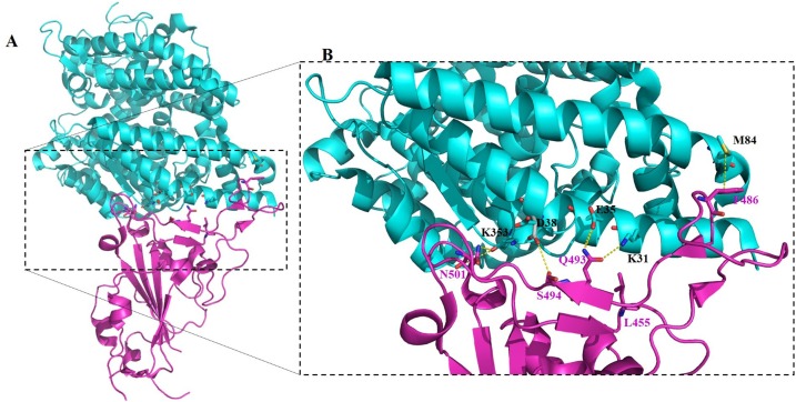 Fig. 2