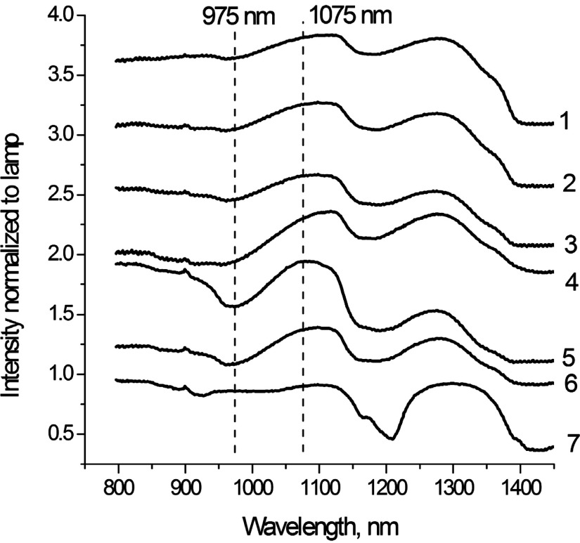 Fig. 5