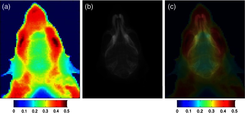 Fig. 7