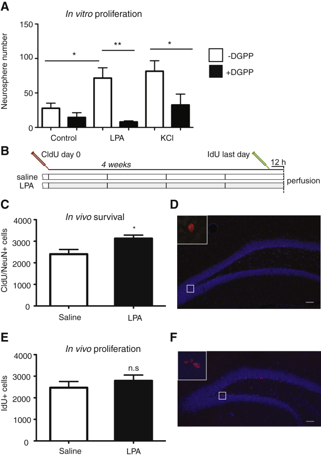 Figure 6